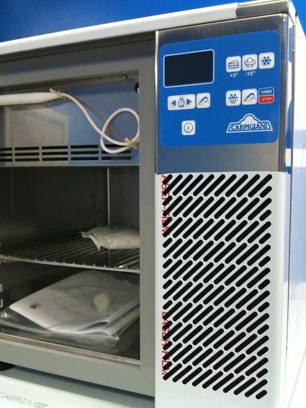 NEW Carpigiani Ice Cream Cake Chiller Gelato Blast Freezer